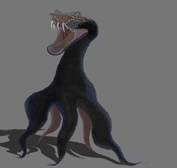 ṫɽĶм ṫͼƬʲô
