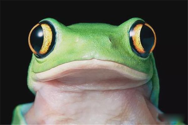 ʲô Ǽ