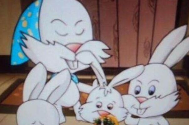 ʮֻ˭ɱ ʮֻӸĿֲ