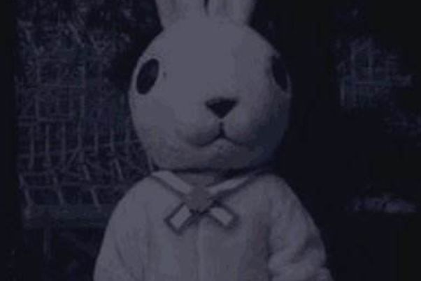ʮֻ˭ɱ ʮֻӸĿֲ