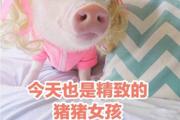 Ůʲô˼ Ůǰ廹Ǳ