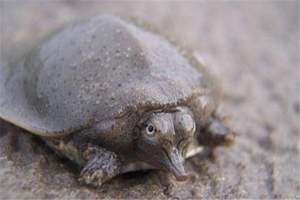 ʲô ˮĽ