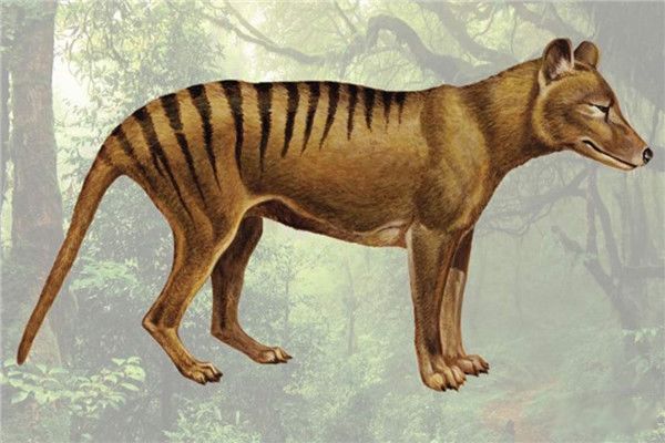 ǵͼƬ ·