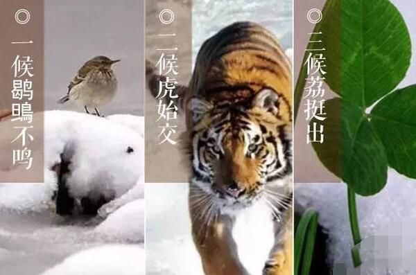 ѩʲô˼ ѩصͷ