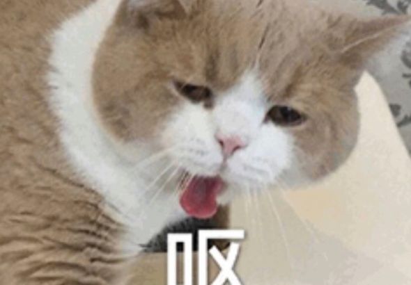 еyueʲô˼ yueĸطķ
