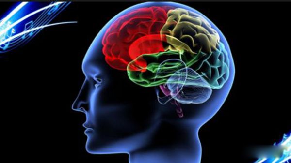 ��ο����ܹ���������˼ά���� ������������Ч�ķ����̵�