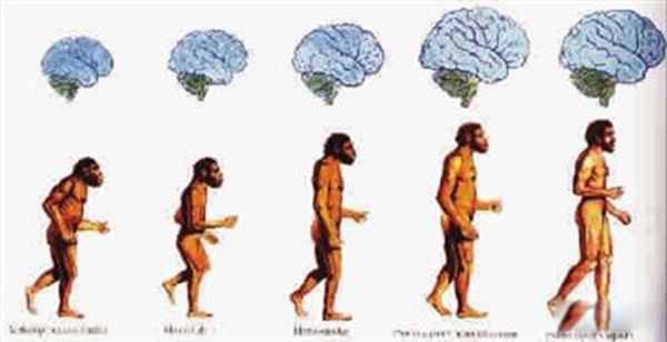 ��ο����ܹ���������˼ά���� ������������Ч�ķ����̵�