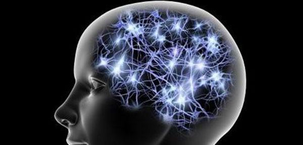 ��ο����ܹ���������˼ά���� ������������Ч�ķ����̵�