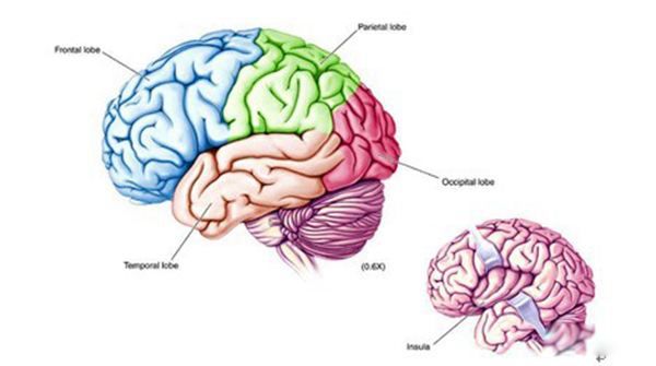 ��ο����ܹ���������˼ά���� ������������Ч�ķ����̵�