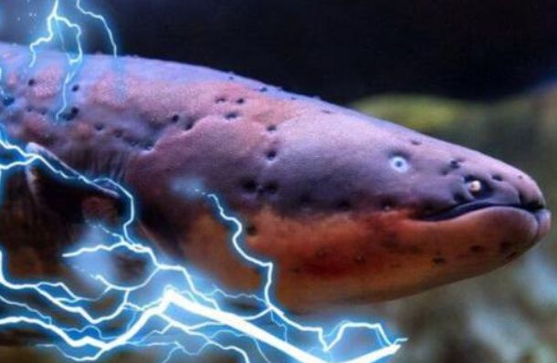 ᷢʲô ᷢĺЩ