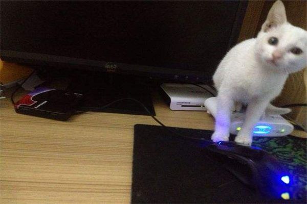 èԹ èʲô˼