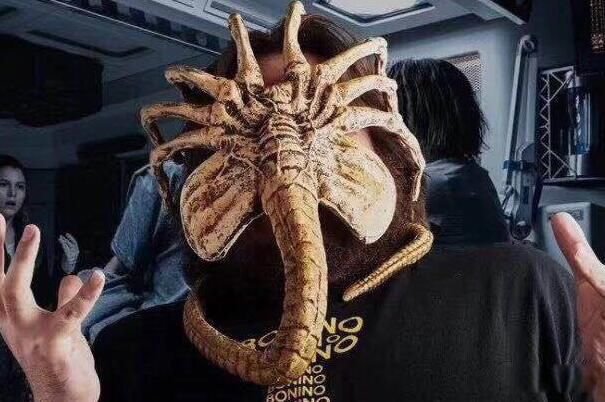 ʲô αͼƬļٵ