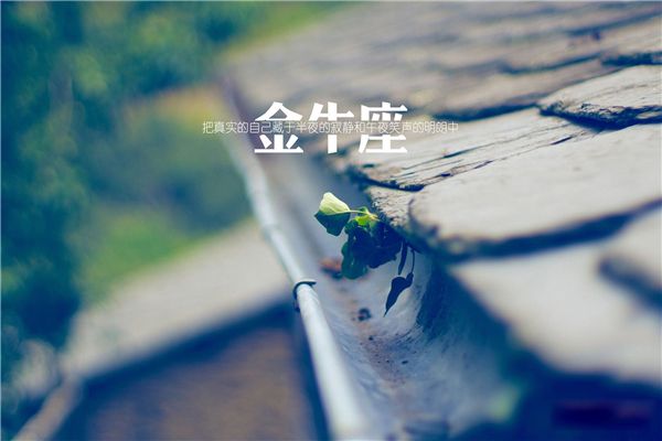 ʮ˭ֵ ʮ˭