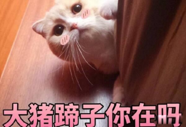 ǴŮʲô Ϊʲô˵Ǵɶ˼