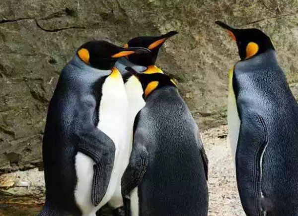 һһ޵ĶЩ һһ޵Ķǰʮ