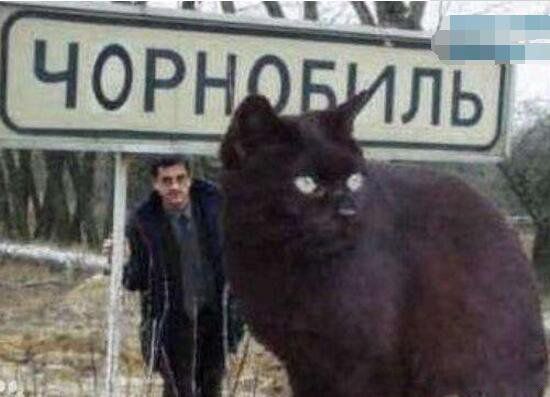ڿèangie ڿè¼ʲô(ж)