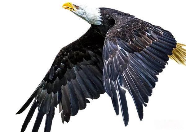 һһ޵ĶЩ һһ޵Ķǰʮ