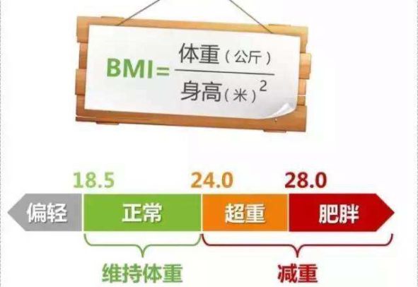 bmiָô bmiֵΧǶ