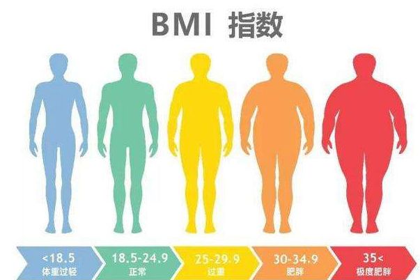 bmiָô bmiֵΧǶ