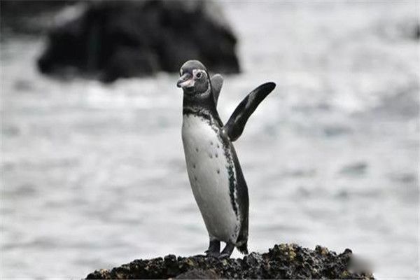 ϵ˹ ˹