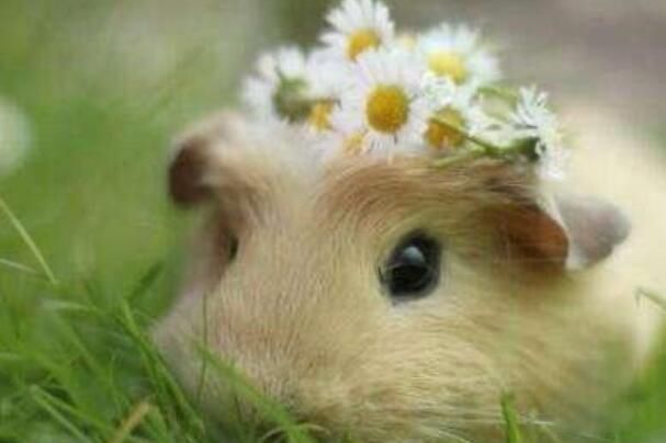 ŷˮʲôʱ ŷˮԭʲô