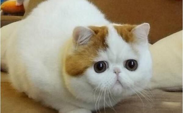 ɰĶǰʮ һȮʲôͼƬ