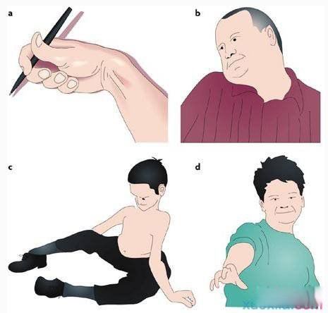 赸֢ĸҵ ͢赸֢ķԭǻ