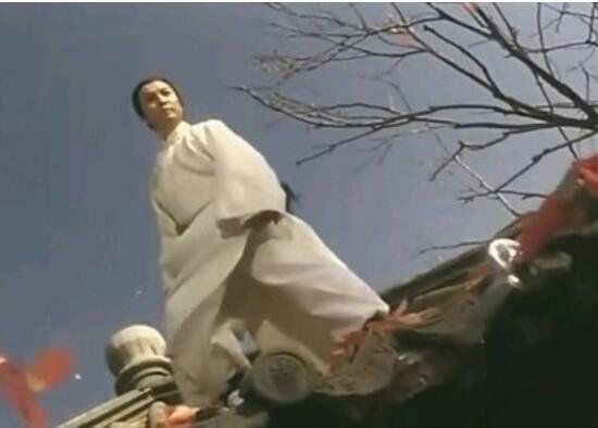 天地会总舵主叫什么 陈近南是真实人物吗