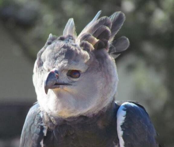 ǵʲô ޽ǵ