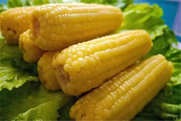 Ĺ Ĺ