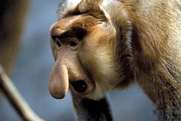 ���Ǻ���ʲô���Ķ��� ���Ǻ����ĸ����ҵĹ���