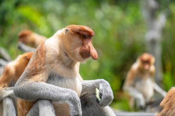 ���Ǻ���ʲô���Ķ��� ���Ǻ����ĸ����ҵĹ���