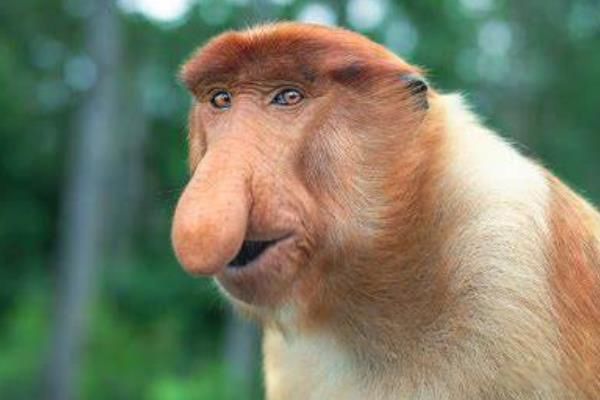 ���Ǻ���ʲô���Ķ��� ���Ǻ����ĸ����ҵĹ���