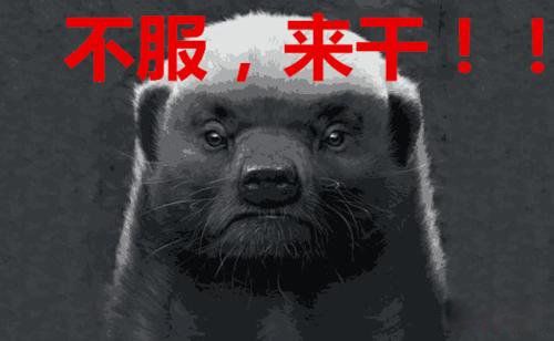 ƽͷ⵵˭ ƽͷʲô̶
