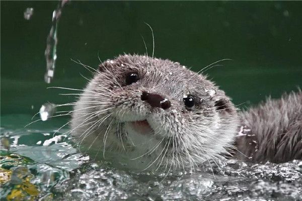 ѷˮ̡ ˮ̡ж