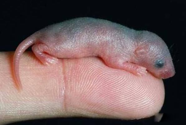 ��֨��������(Ϊʲô����֨��) ��֨���������ʲô��