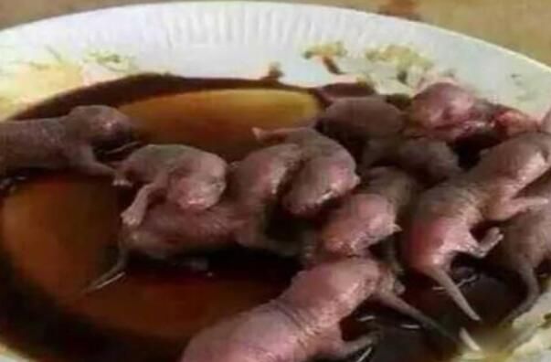 ��֨��������(Ϊʲô����֨��) ��֨���������ʲô��