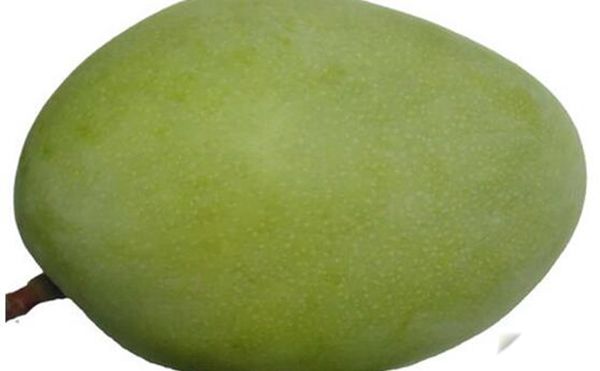 ֦âĽ ֮Ϊǹ֮