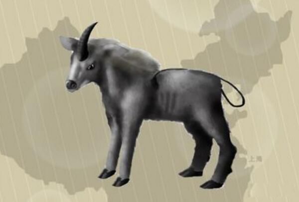 ײʲô ײ޴˵ʲô