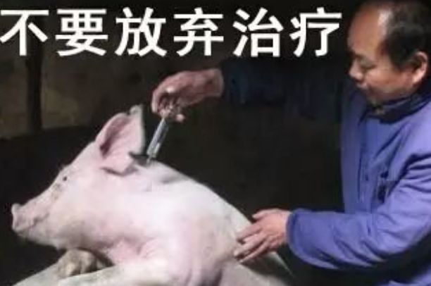 ʲôз ŵΪʲô