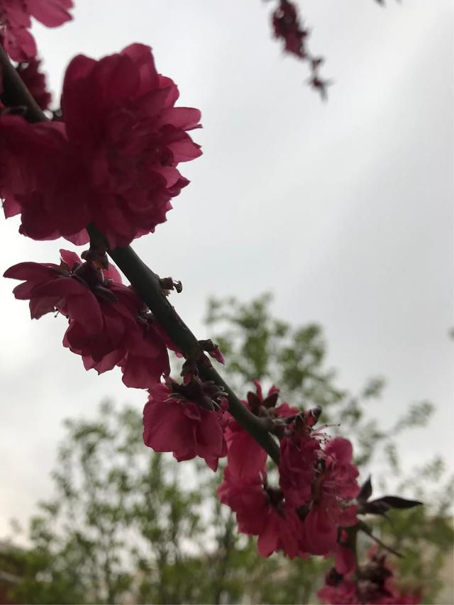 ˶ȥ ˵