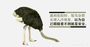 ϵΪһžͻΪһȴ 첻·