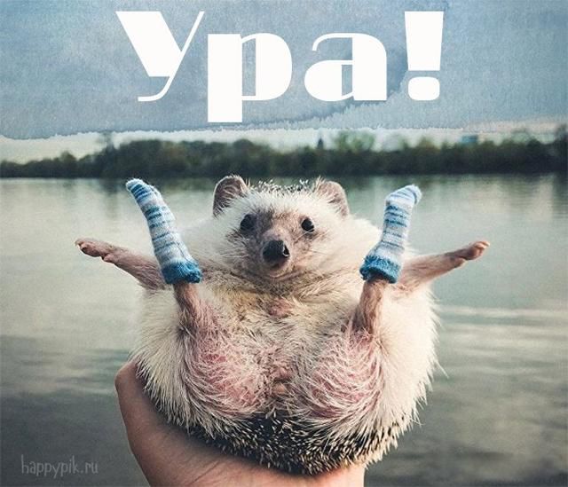 ˹ʲô˼ ı˷ܵ