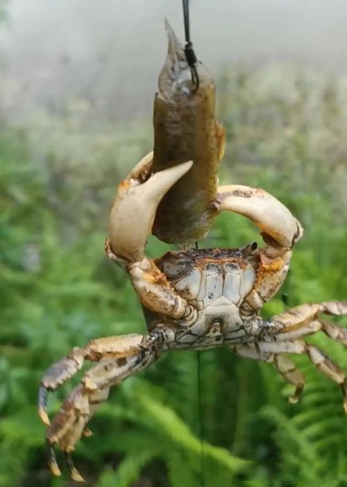 зŮ ˵зŮúƯ
