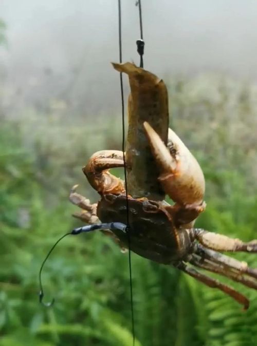зŮ ˵зŮúƯ
