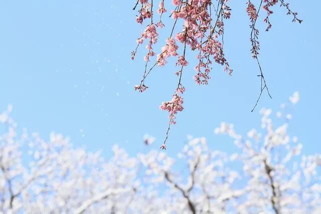 ˷,ط,취,Ȼ ӵĵ¾