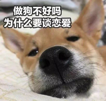ʲô˼ Ϊʲôƫƫ