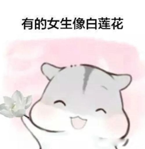 ʲô˼ Ԣ仯