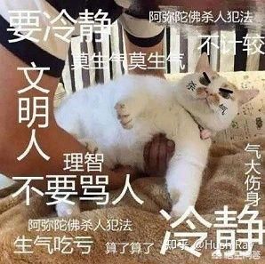 appаǰʮ ĳЩ̫
