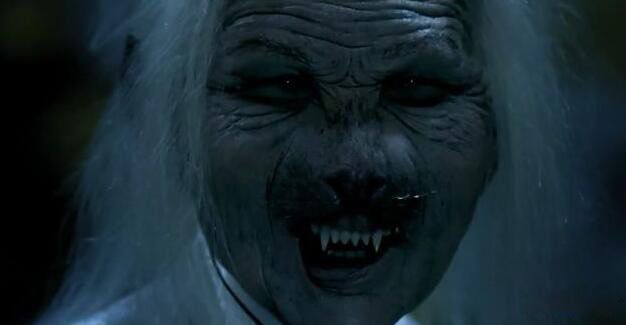 è����̫̫����ʵ���ڵ��� �ֲ�è����̫�¼���ʵԭ��